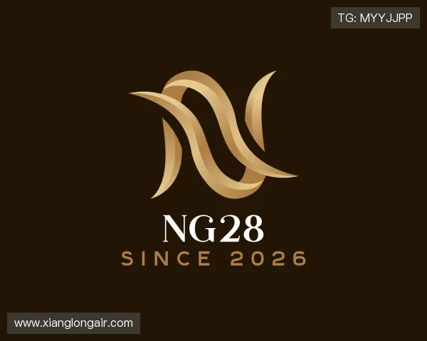 发现NG28